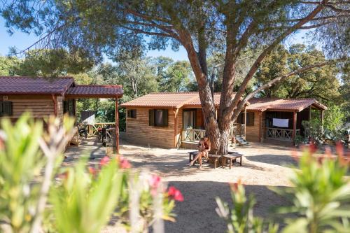 Calvi Complejo | Feriendorf La Mora