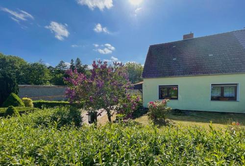 Muritz Casa | Ferienhaus "Am Flachsee"