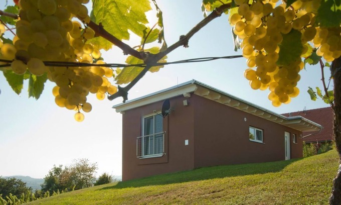 Johnsdorf-Brunn Otro | Ferienhaus "das Nussberg" - ab 4 Nächte - Ferienhäuser im Weingarten