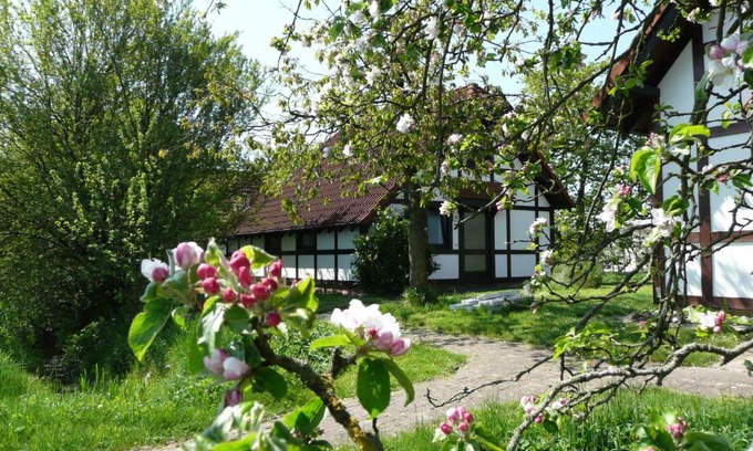 Hollern Casa | Ferienhaus Deichgraf 86 im Feriend