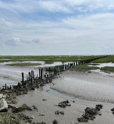Friedrichskoog-Spitze Casa | Ferienhaus 'Welle und Watt' - 2024 neu renoviert