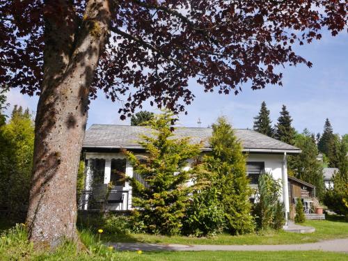 Usseln Casa | Ferienhaus FREE WILLI
