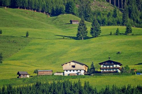 Hollersbach im Pinzgau Apartamento | Ferienhaus Hochwimmer