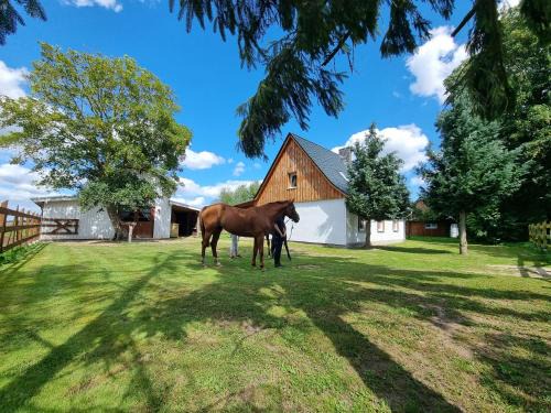 Ducherow Casa | Ferienhaus in Ostseenähe auch mit Pferd