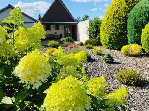 Annenriede Casa | Ferienhaus mit Charme DEL