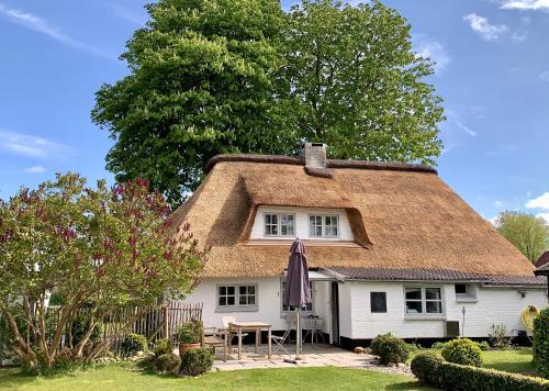 Suderstapel Casa | Ferienhaus Tade Bo