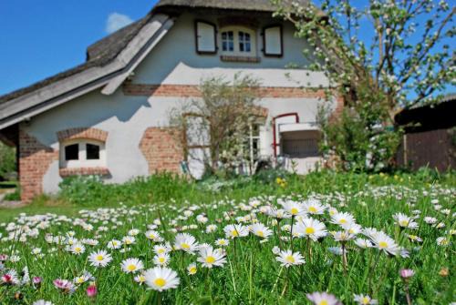 Sellin Casa | Ferienhaus unterm Reetdach