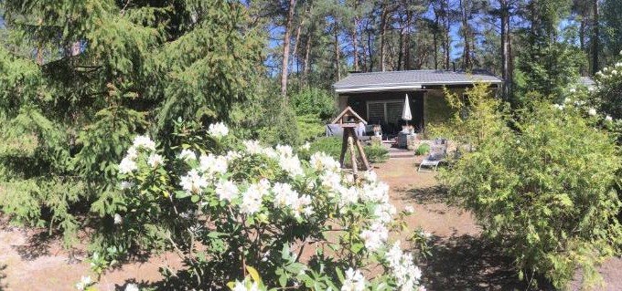 Gross Koeris Casa | Ferienhaus Wald und Seeidylle, nahe Badesee, Spreewald, Berlin