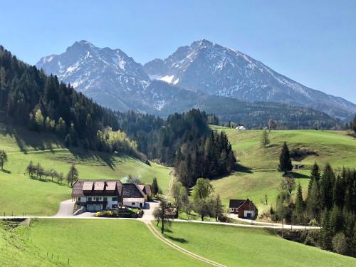 Spital am Pyhrn Apartamento | Ferienhof Hintergrabenbauer