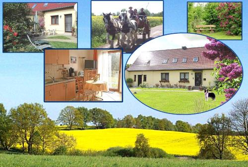 Frauenmark Apartamento | Ferienhof Winther 1