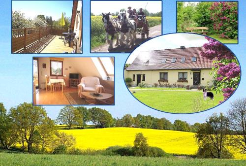 Frauenmark Apartamento | Ferienhof Winther 2