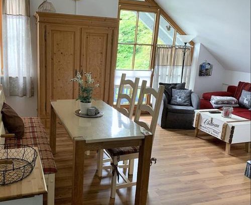 Schofweg Apartamento | Ferienland Sonnenwald Fewo 46 und Studio 50 in Schöfweg Bayerischer Wald