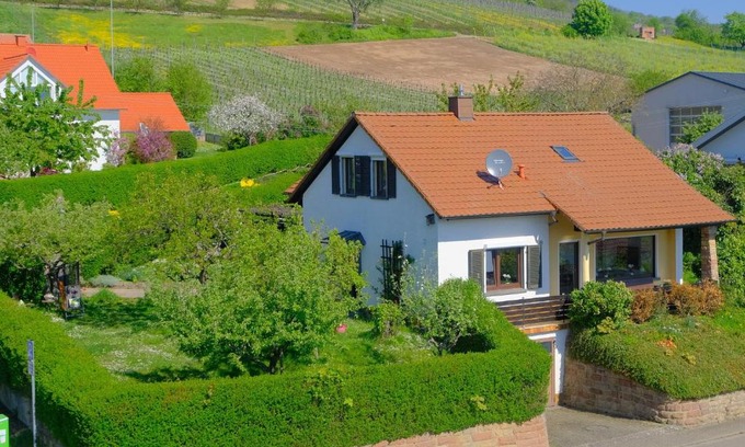 Gleiszellen-Gleishorbach Apartamento | Ferienweingut Wissing Wohnung Theo