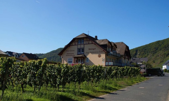 Briedern Apartamento | Ferienweingut Hugo Friederich & Sohn - double room