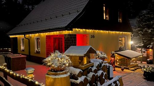Oberwiesenthal Apartamento | Ferienwohnung-direkt-am-Skihang mit Sauna