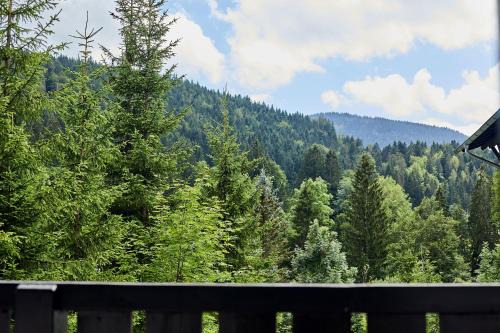 Groissenbach Apartamento | Ferienwohnung Allegra