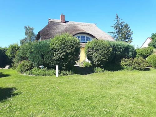 Wieck auf dem Darss Apartamento | Ferienwohnung am Bodstedter Bodden