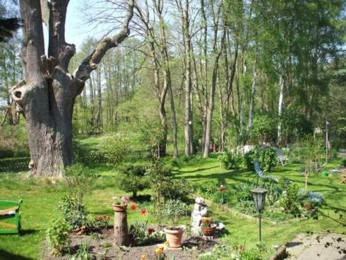 Muhl Rosin Apartamento | Ferienwohnung Am Mühlbach