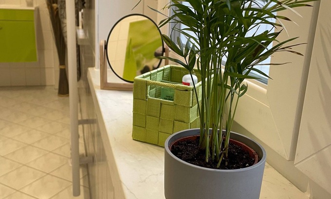 Freiberg Apartamento | Ferienwohnung/app. für 3 Gäste mit 60m² in Freiberg