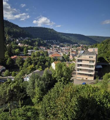 Bad Wildbad Apartamento | Ferienwohnung Ausblick