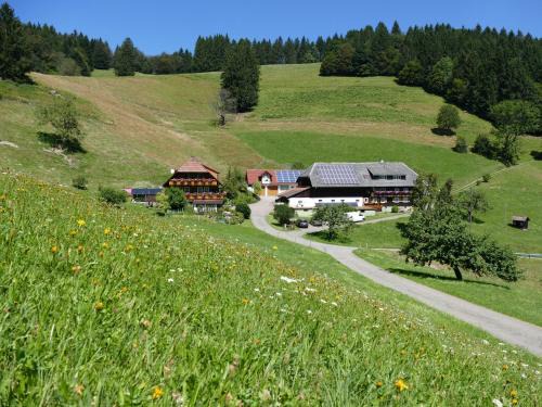 Obermunstertal Apartamento | Ferienwohnung Auszeit -Gipfhof-