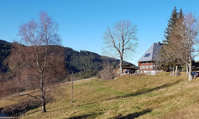 Triberg im Schwarzwald Apartamento | Apartamento "Bosse", 4 habitaciones, máx. 6 personas