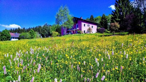 Neureichenau Apartamento | Ferienwohnung für 2 Personen ca 40 m in Neureichenau, Bayerischer Wald