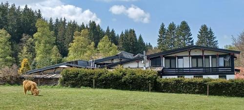 Forbach Apartamento | Ferienwohnung GABI