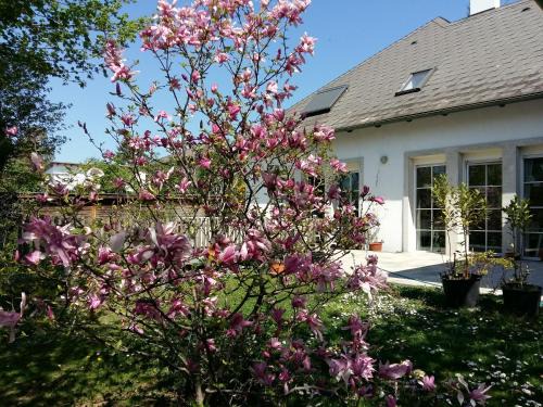 Neusiedl am See Apartamento | Ferienwohnung Heider