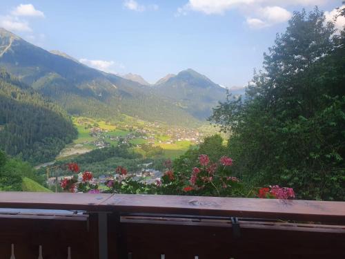 Sankt Gallenkirch Apartamento | Ferienwohnung Irene