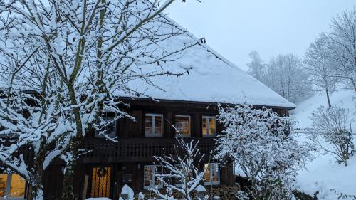 Wieden Apartamento | Ferienwohnung im Historischen Schwarzwaldhaus