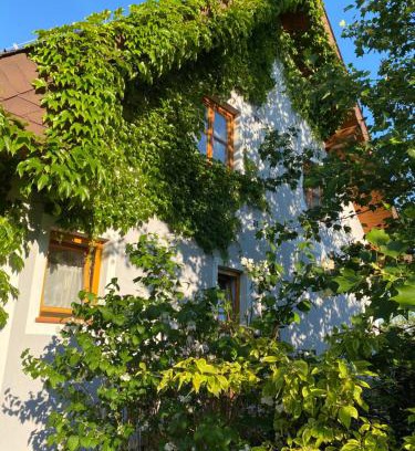 Ilz Apartamento | Ferienwohnung in der Thermenregion