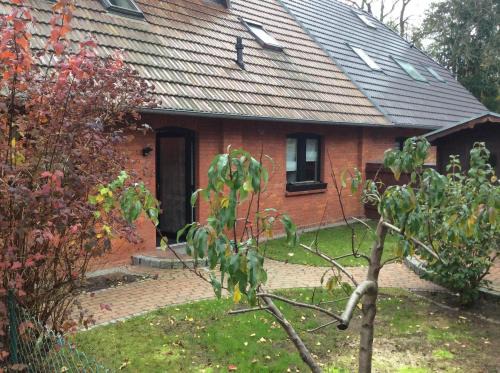 Neustrelitz Apartamento | Ferienwohnung In Neustrelitz Mit Garten Und Grill