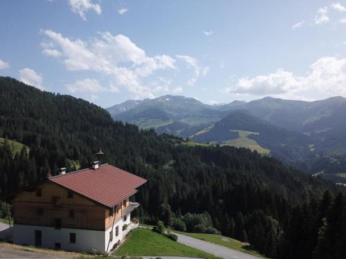 Wildschoenau Apartamento | Ferienwohnung in Panorama Alleinlage Kitzbüheler AlpenWILD63 by FeWo-Plan