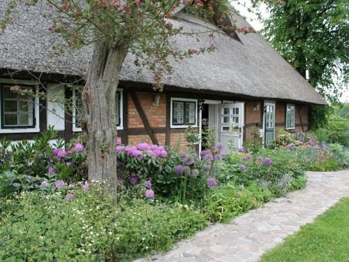 Reddelich Apartamento | Ferienwohnung in Reddelich for 4 Personen