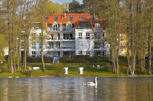 Bad Saarow Apartamento | Ferienwohnung Katja in der Villa Seeblick