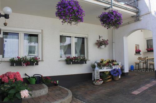 Hillscheid Apartamento | Ferienwohnung -kiefer
