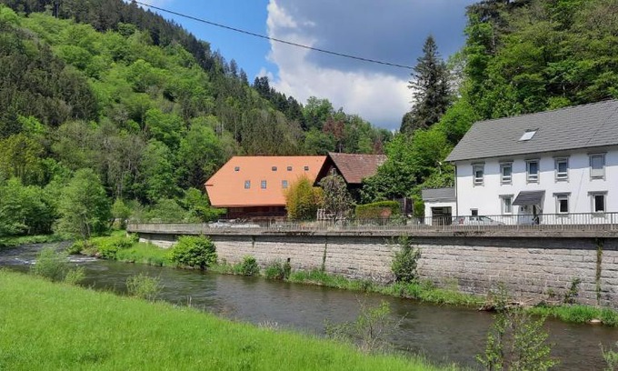 Kinzigtal Apartamento | Ferienwohnung Moritz im Schwarzwald