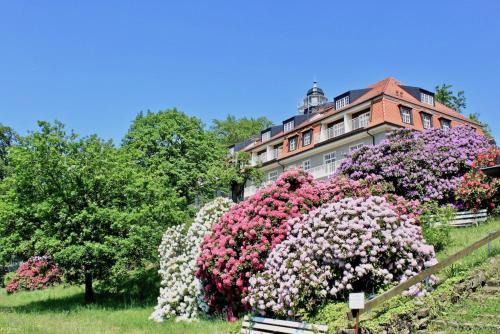 Loschwitz Apartamento | Ferienwohnung Natur und Kunst