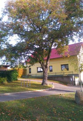 Bad Saarow Apartamento | Ferienwohnung Perlitz