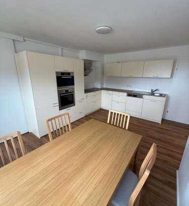 Hinzenbach Apartamento | Ferienwohnung Seebach