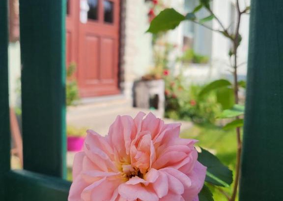 Cunnersdorf Apartamento | Ferienwohnung Simmert
