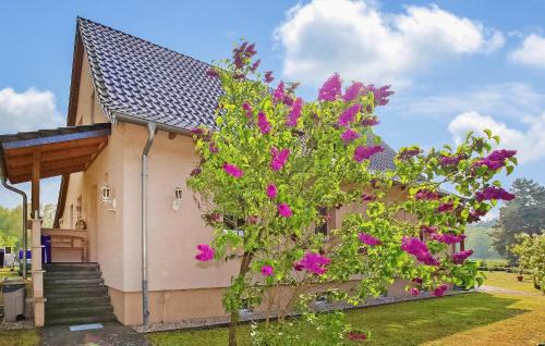Torgelow-Hollanderei Apartamento | Ferienwohnung Torgelow