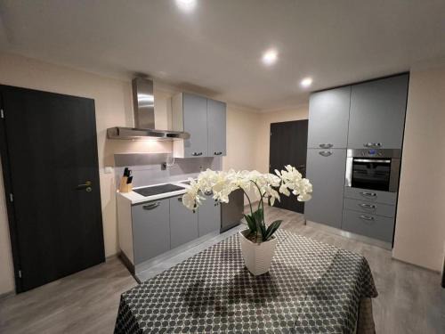 Adorf Apartamento | Ferienwohnung Vogtland