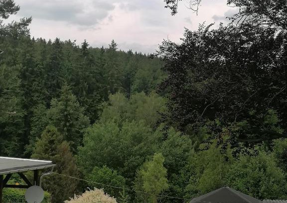 Sebnitz Apartamento | Ferienwohnung Waldblick mit Balkon