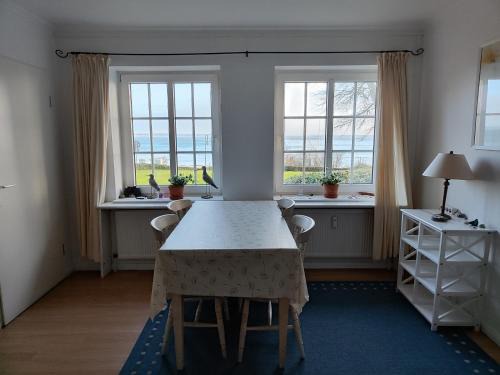 Drei Apartamento | Ferienwohnung Winter