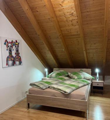 Loerrach Apartamento | Ferienwohnung Zentral in Lörrach - KONUS Gästekarte inklusive