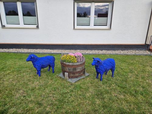 Rheinsberg Apartamento | Ferienwohnung zu den Blauen Schafen