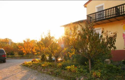 Morbisch am See Apartamento | Ferienwohnungen Ödenburgerhof