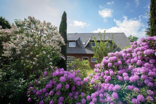 Lembruch Apartamento | Ferienwohnungen Schierbaum
